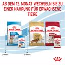 ROYAL CANIN Medium Puppy in Salsa 10x140 g - 1.400 g