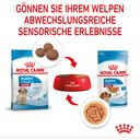 Royal Canin Medium Puppy in Soße 10x140 g - 1.400 g