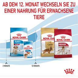 Royal Canin Pasja hrana Medium Puppy - 4 kg