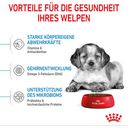 ROYAL CANIN Medium Puppy - 15 kg