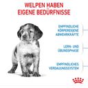 ROYAL CANIN Medium Puppy - 15 kg