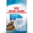 ROYAL CANIN Maxi Starter Mother & Babydog - 15 kg