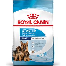 Royal Canin Pasja hrana Maxi Starter - 15 kg