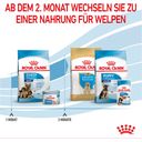 Royal Canin Pasja hrana Maxi Starter - 15 kg