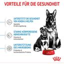 Royal Canin Maxi Starter - 15 kg