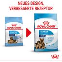 Royal Canin Maxi Starter - 15 kg