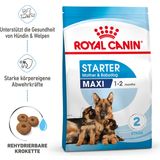 ROYAL CANIN Maxi Starter Mother & Babydog