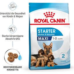ROYAL CANIN Maxi Starter Mother & Babydog - 15 kg