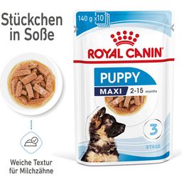 Royal Canin Maxi Puppy in Soße 10x140 g - 1.400 g