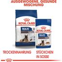 Royal Canin Maxi Ageing 8+ in Soße 10x140 g - 1.400 g