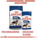 Royal Canin Maxi Adult in Soße 10x140 g - 1.400 g