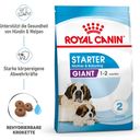 Royal Canin Giant Starter - 15 kg