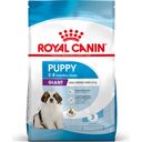 ROYAL CANIN Giant Puppy - 15 kg