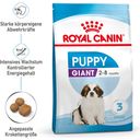 Royal Canin Giant Puppy - 3,5 kg