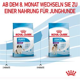 Royal Canin Giant Puppy - 3,5 kg