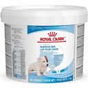 Royal Canin Babydog Milk - 2 kg