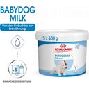 Royal Canin Babydog Milk - 2 kg