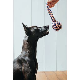 Hundespielzeug Ball mit Handschlaufe Jena 21cm - 1 Stk