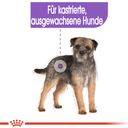 ROYAL CANIN Sterilised Mousse 12x85 g - 1.020 g