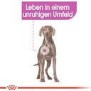 Royal Canin Relax Care Maxi - 9 kg