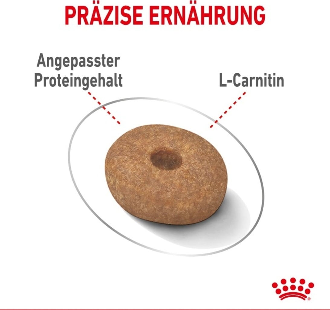 Royal Canin Light Weight Care Mini - 3 kg