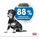 Royal Canin Light Weight Care Mini - 1 kg