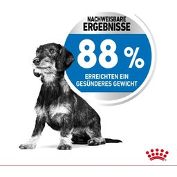 ROYAL CANIN LIGHT WEIGHT CARE Mini - 3 kg