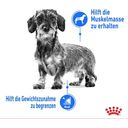 ROYAL CANIN LIGHT WEIGHT CARE Mousse 12x85 g - 1.020 g