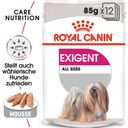 Royal Canin Pasja hrana Exigent Mousse, 12 x 85 g - 1.020 g