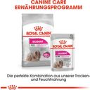 Royal Canin Pasja hrana Exigent Mousse, 12 x 85 g - 1.020 g