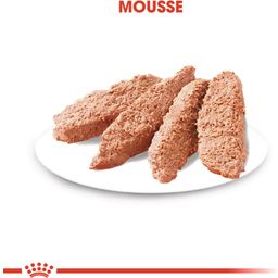 Royal Canin Pasja hrana Exigent Mousse, 12 x 85 g - 1.020 g