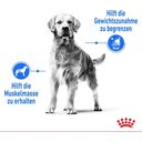 Royal Canin Light Weight Care Maxi - 12 kg