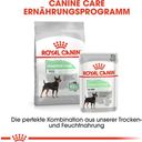 Royal Canin Digestive Care Mini - 3 kg