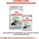 Royal Canin Digestive Care Medium - 3 kg