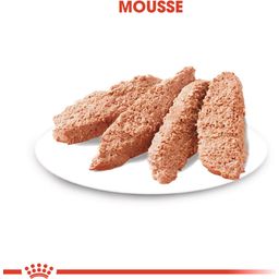 Pasja hrana Dermacomfort Mousse, 12 x 85 g - 1.020 g
