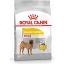 Royal Canin Pasja hrana Dermacomfort Medium - 12 kg