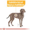 Royal Canin Dermacomfort Maxi - 3 kg