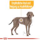 Royal Canin Dermacomfort Maxi - 12 kg