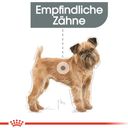 Royal Canin Dental Care Mini - 1 kg
