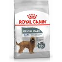 Royal Canin Dental Care Maxi - 9 kg