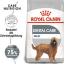 Royal Canin Dental Care Maxi - 9 kg