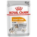 Royal Canin Pasja hrana Coat Care Mousse, 12 x 85 g - 1.020 g