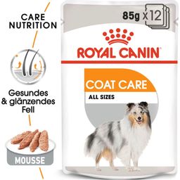 Royal Canin Pasja hrana Coat Care Mousse, 12 x 85 g - 1.020 g