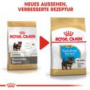 Royal Canin Yorkshire Terrier Puppy - 1,5 kg