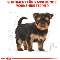 Royal Canin Yorkshire Terrier Puppy - 1,5 kg