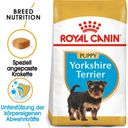 Royal Canin Yorkshire Terrier Puppy - 1,5 kg