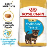 Royal Canin Pasja hrana Yorkshire Terrier Puppy