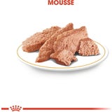 ROYAL CANIN Yorkshire Terrier Adult Mousse 12x85 g