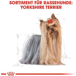 Royal Canin Yorkshire Terrier Adult Mousse 12x85 g - 1.020 g