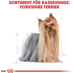 Pasja hrana Yorkshire Terrier Adult Mousse, 12 x 85 g - 1.020 g